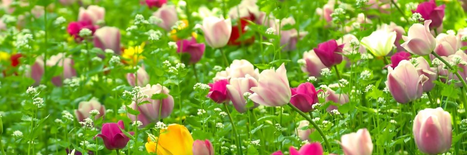 venkatnaresh1's profile banner image