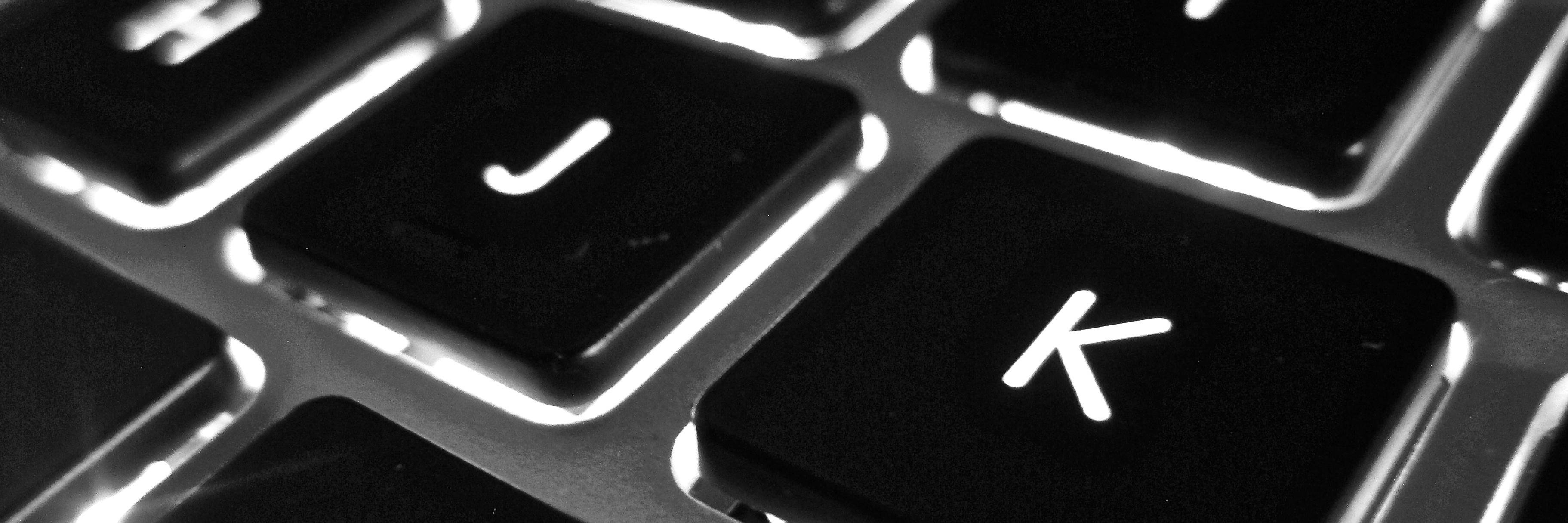 Lisa Cestkowski banner