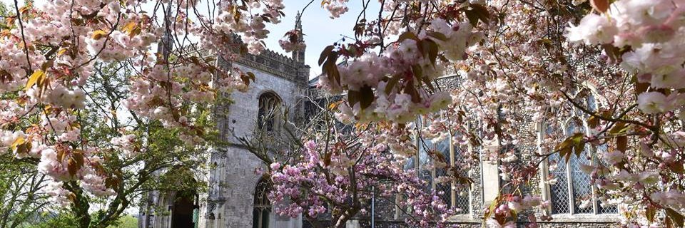 Beccles & Bungay Journal banner