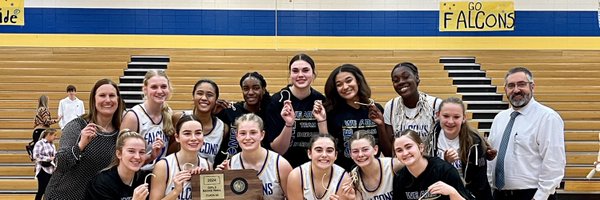 OS_LadyFalconBB Profile Banner