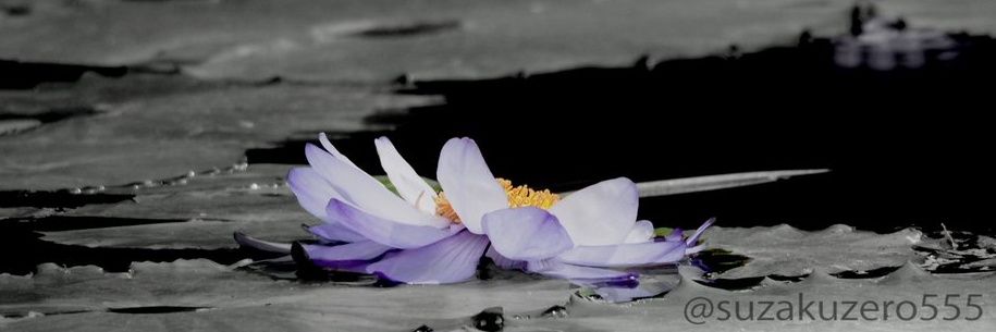 suzakuzero555's profile banner image