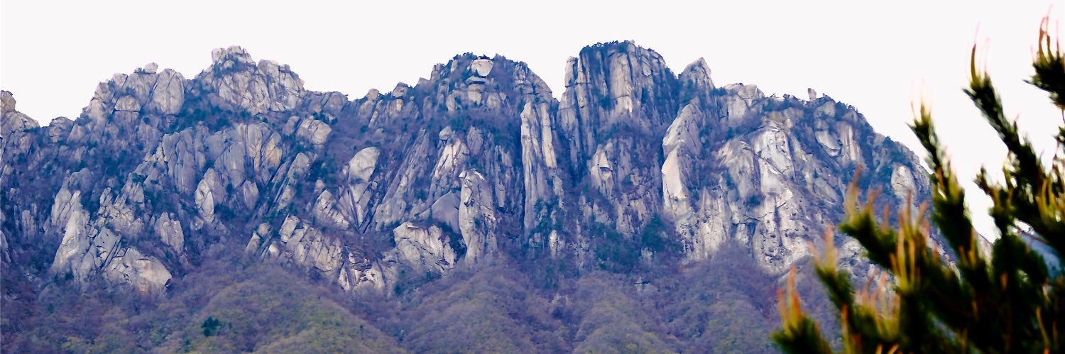 beopenalways's profile banner image