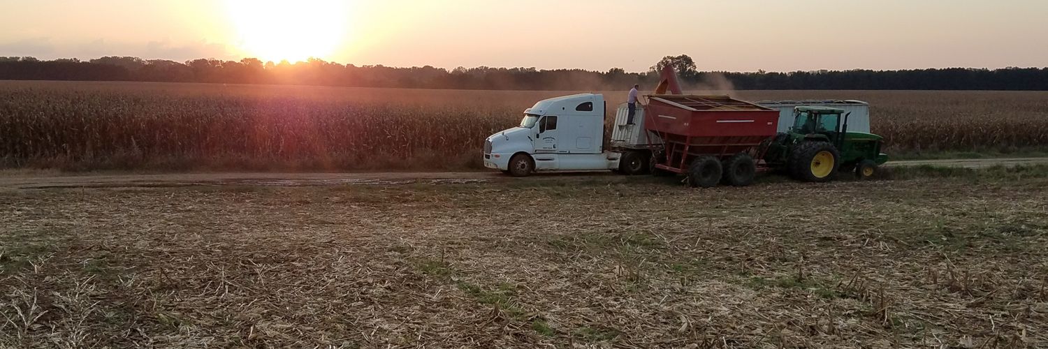 Jamie Patterson banner