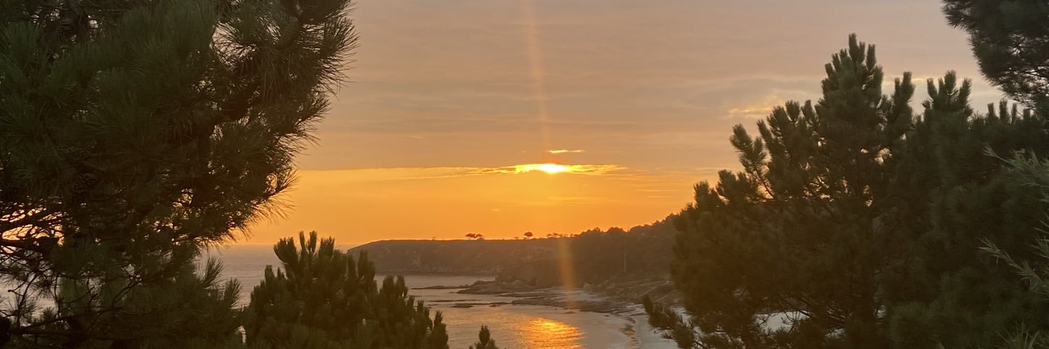 MartadelPozo's profile banner image