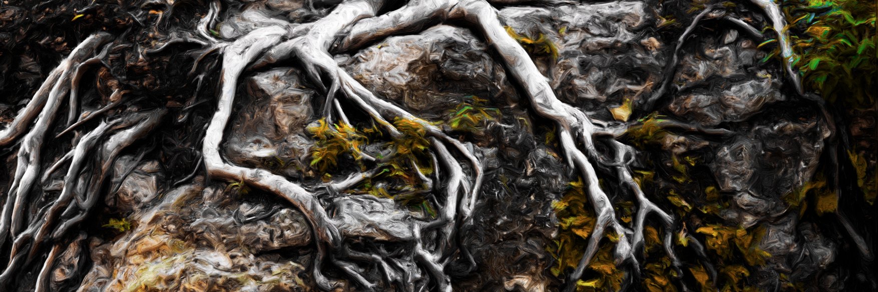 TroothEmpire's profile banner image