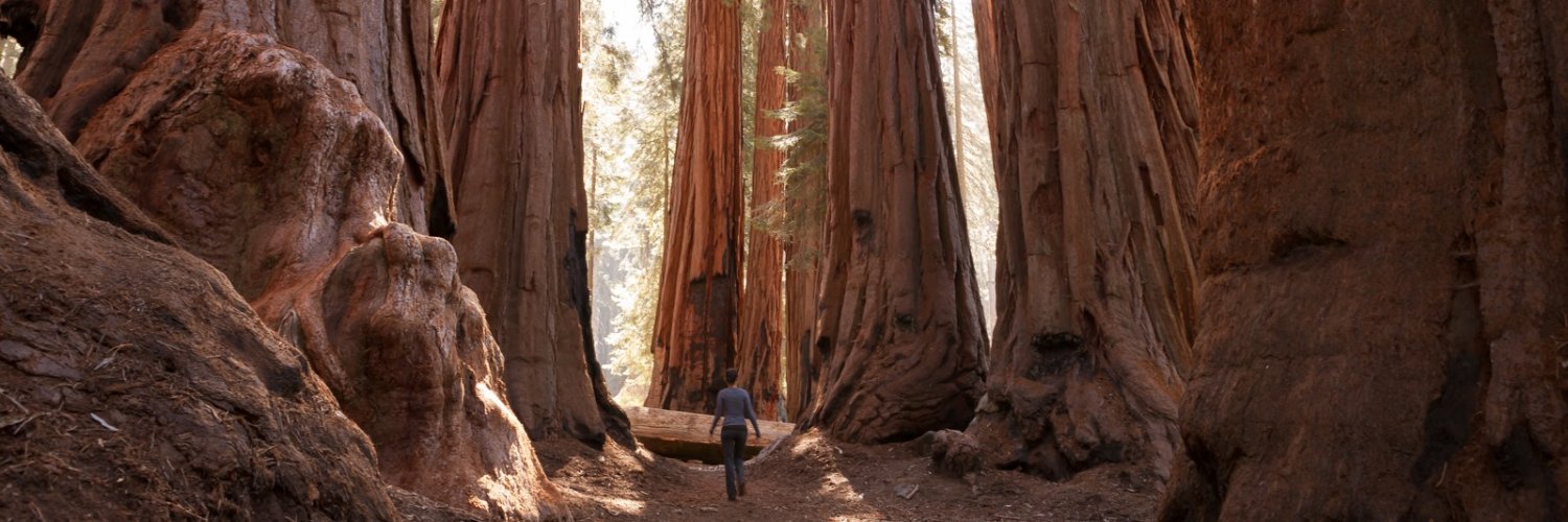 Shannon O'Boyle banner