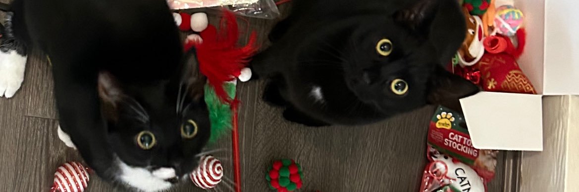 icanminajit's profile banner image
