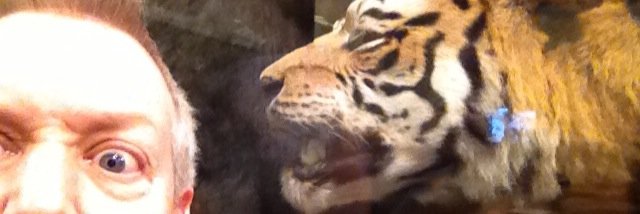 AAbbottD's profile banner image