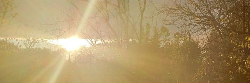 lamfuen's profile banner image