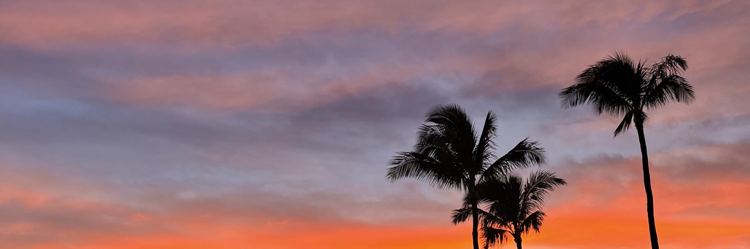 leesiamarieee's profile banner image