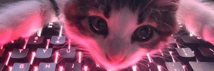 sitomcatt's profile banner image