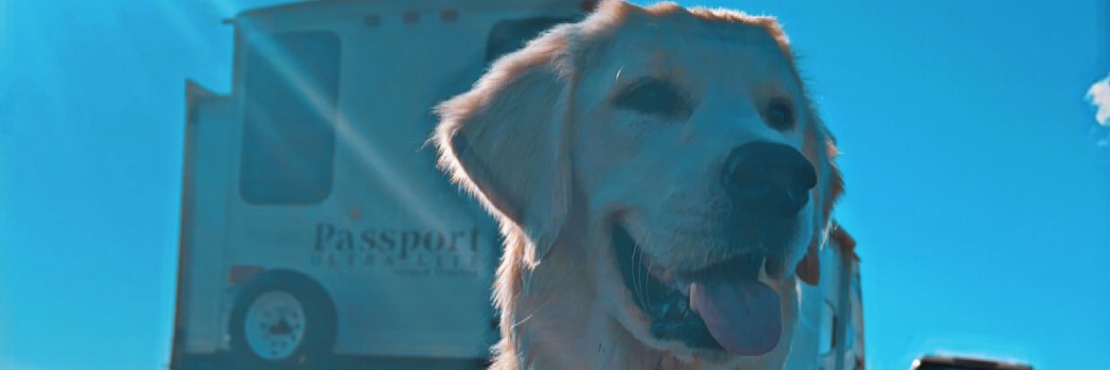 TylerBarth10's profile banner image