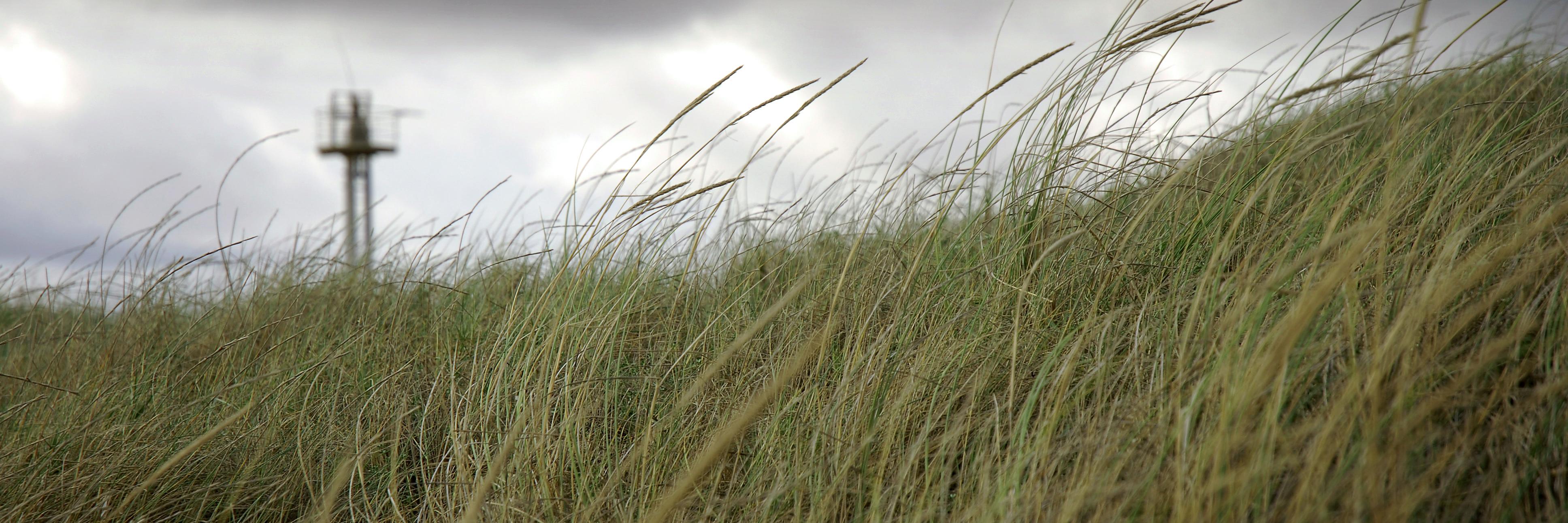 David Rodríguez banner
