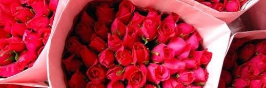 Amourita Dewi banner