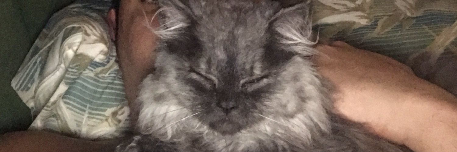 🐸❤️ banner