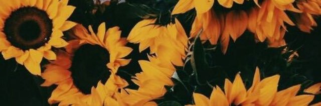 m_jess02's profile banner image