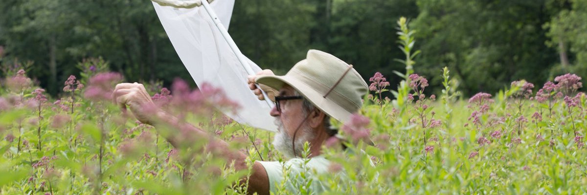 aspetucklt's profile banner image