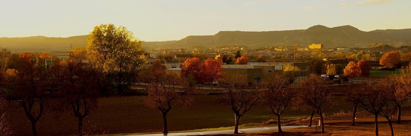 andreapinyi's profile banner image