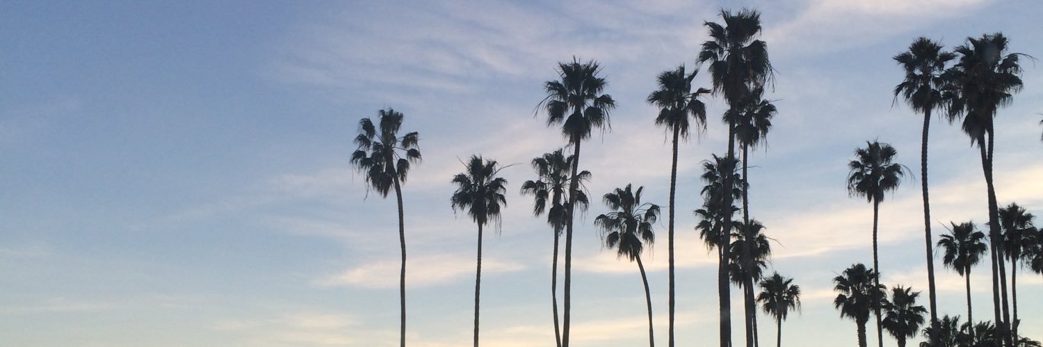 maddiedonnelson's profile banner image