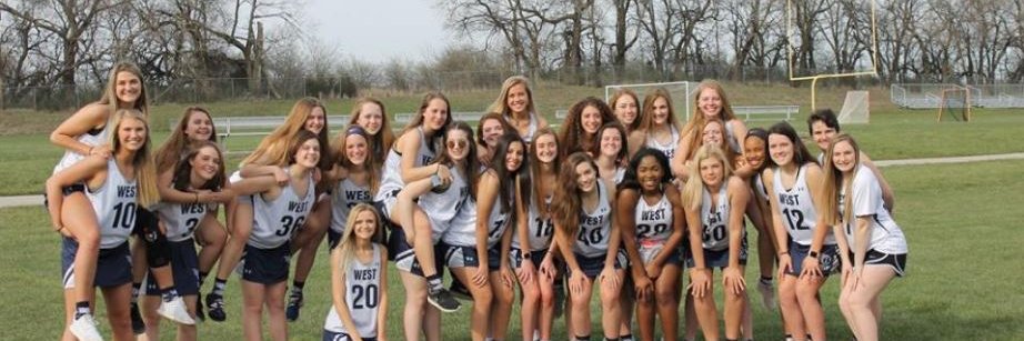 LSW Girl's LAX banner