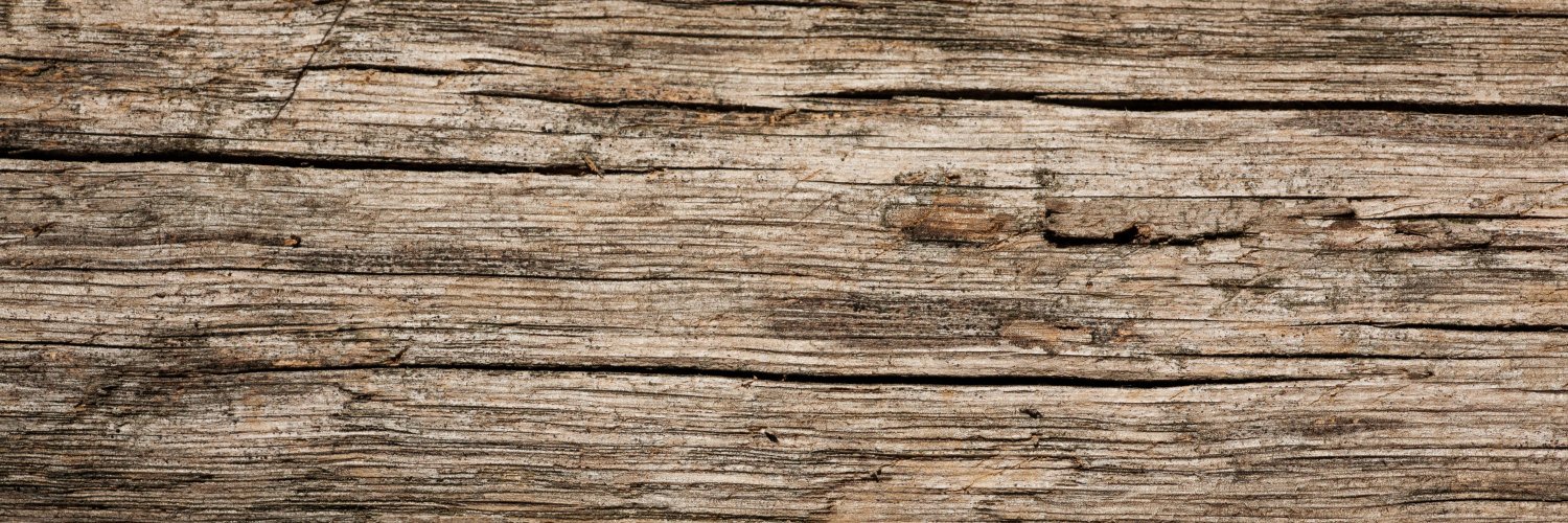 LaGuiadelPerro's profile banner image