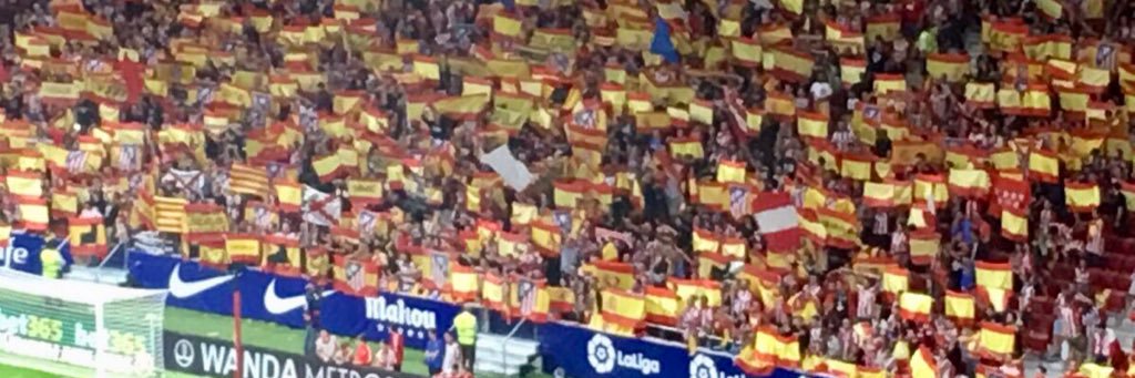 Sergio banner