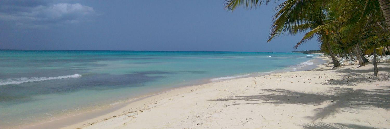 Daniel McMullon banner