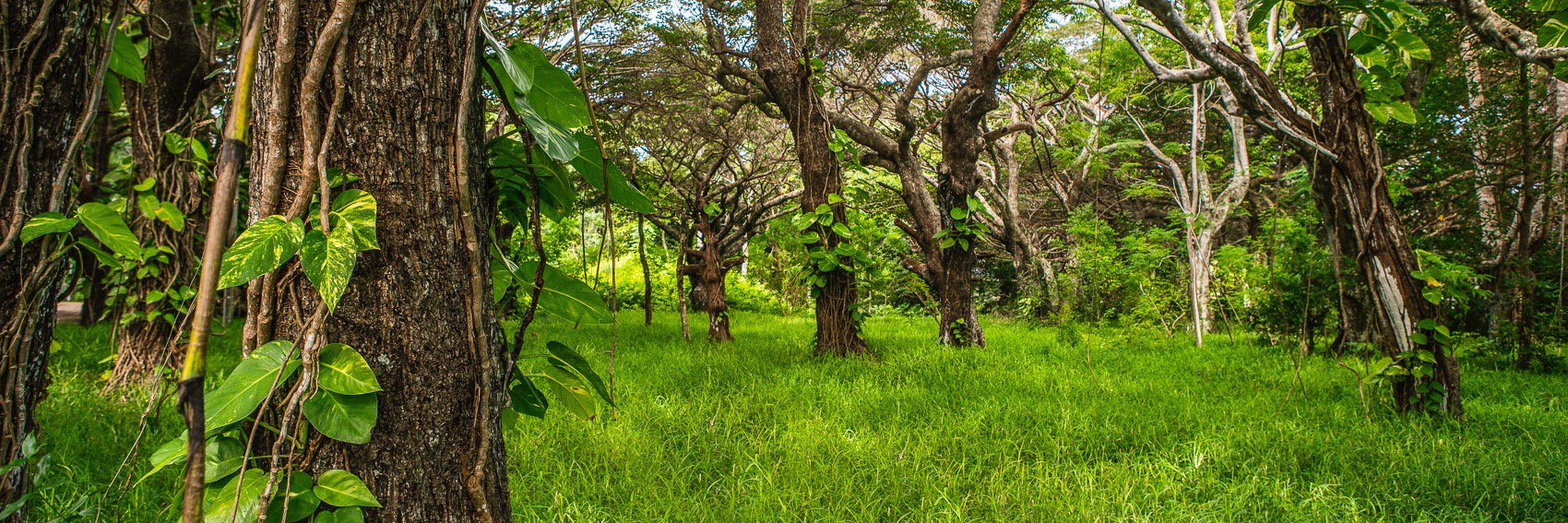 EngagePictures's profile banner image