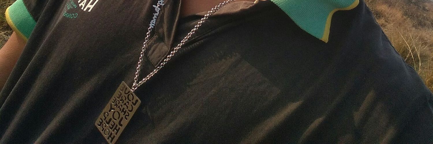 vizilj's profile banner image