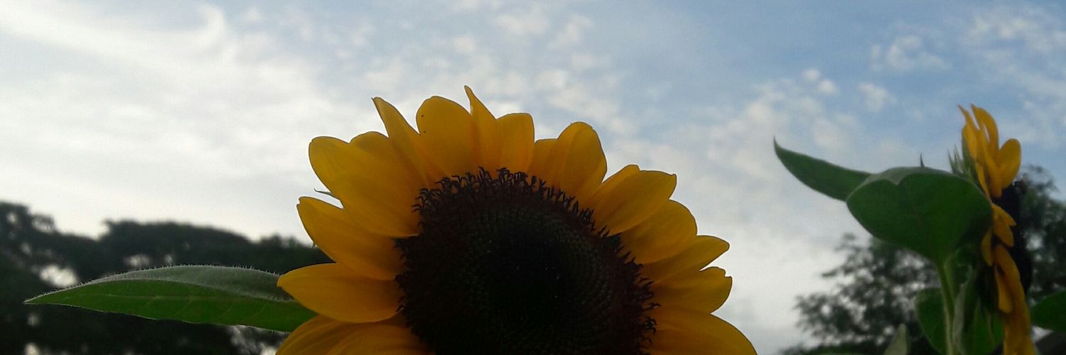rjcapao's profile banner image