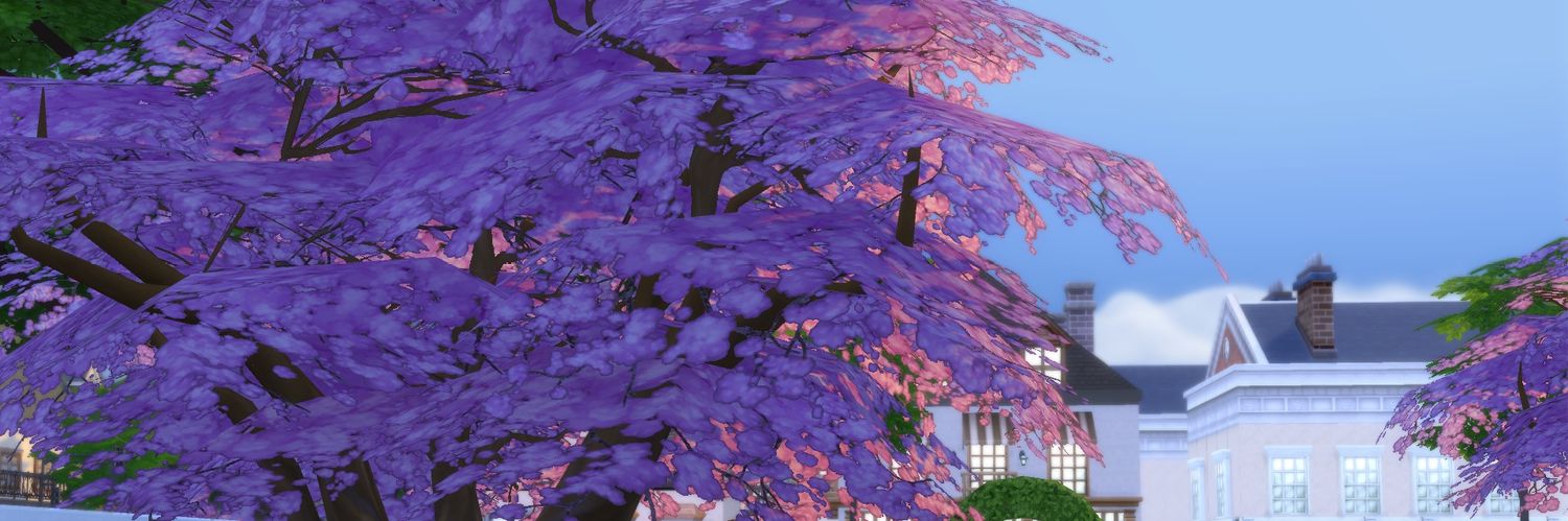 ASTER0IDSZ's profile banner image