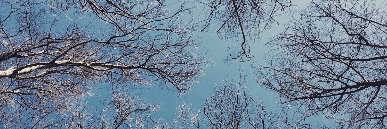 Merivern's profile banner image