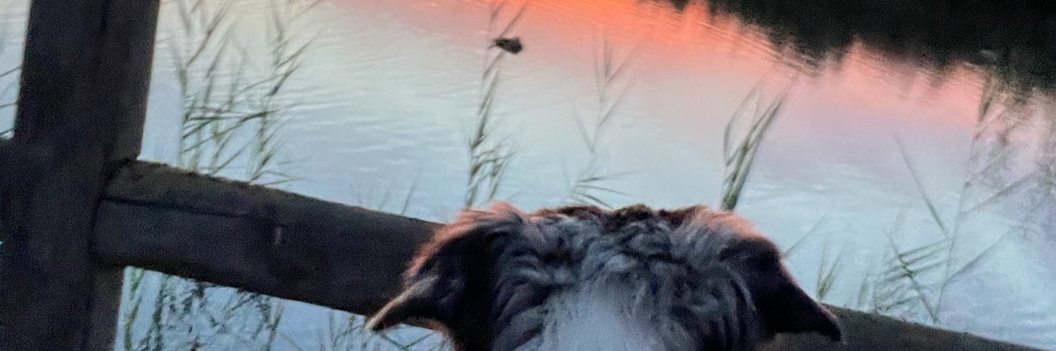 Lasaña de la Ragazza banner