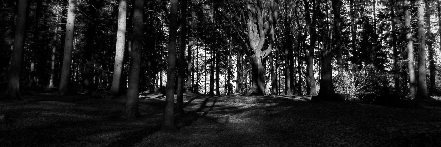 siebe_dv's profile banner image