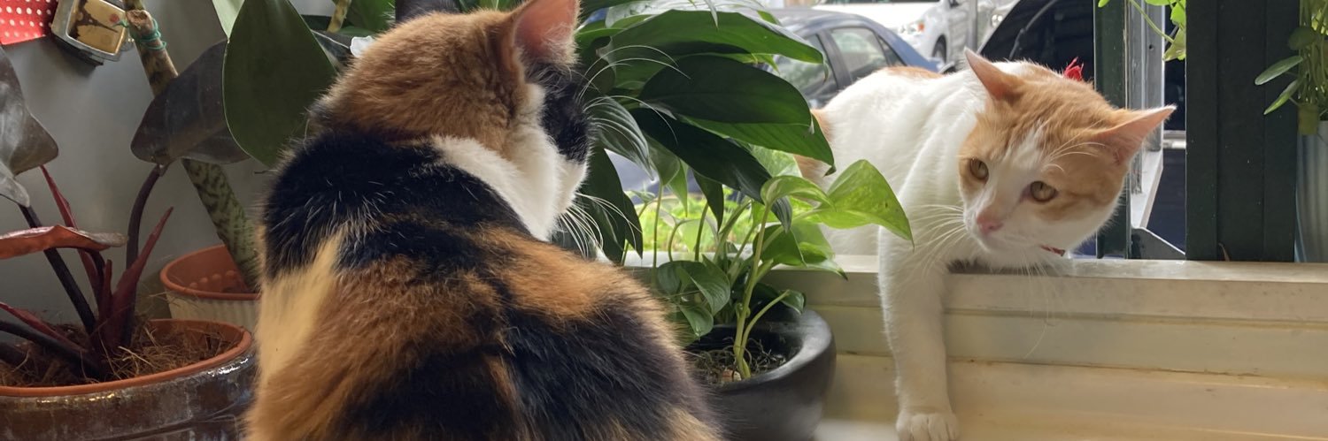 razzbabble's profile banner image