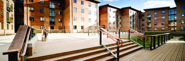 JohnBrashTimber Profile Banner