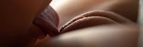 extensalap's profile banner image