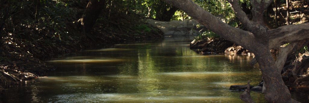 TribalView's profile banner image