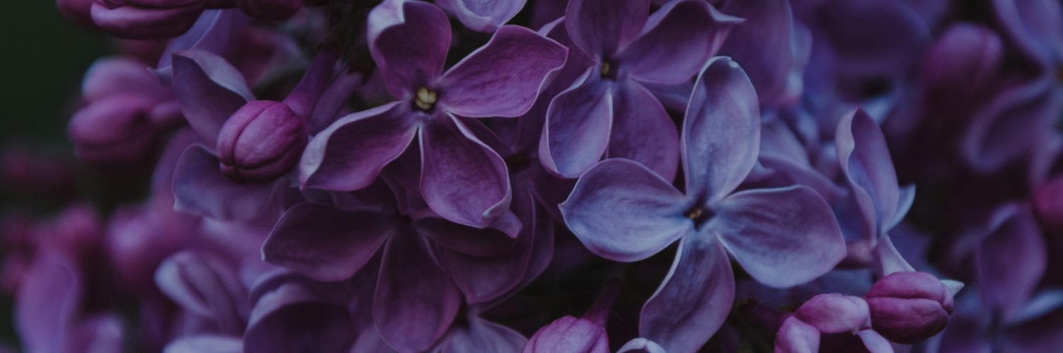 mhysa2802's profile banner image