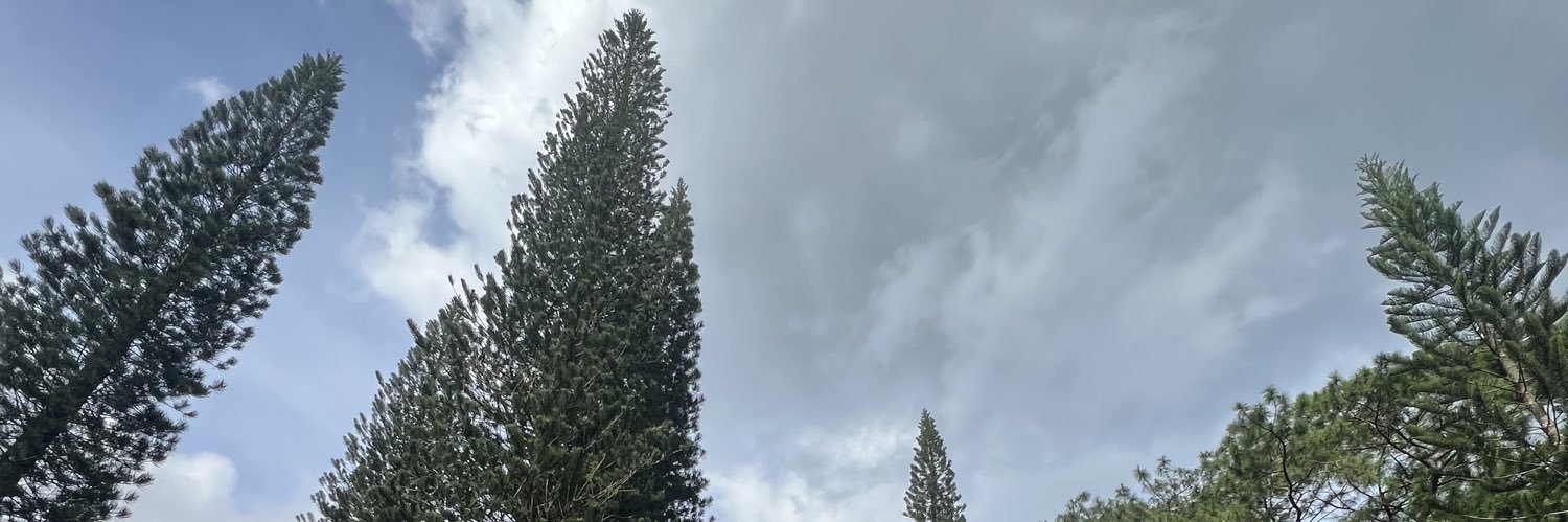 yngbnny8's profile banner image