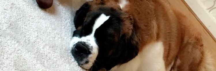 AllsworthJordan's profile banner image