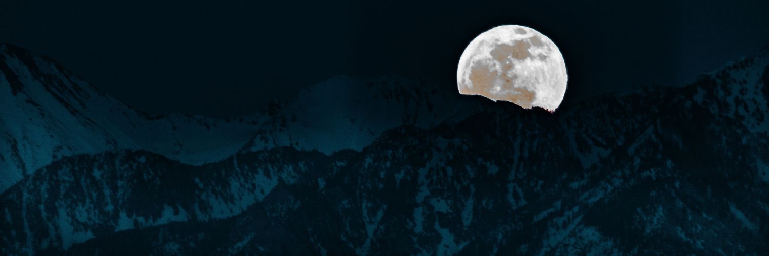 Scott T. Taylor banner
