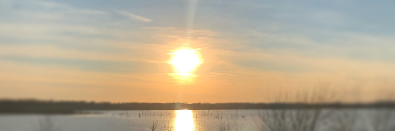 TimAmadore's profile banner image