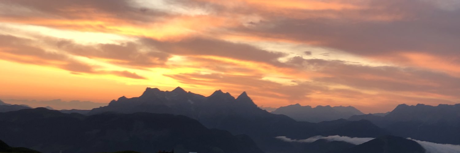 heiderosee's profile banner image