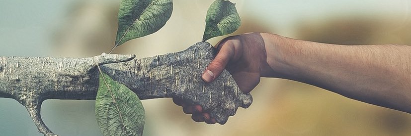 rubydoobiedoo2's profile banner image