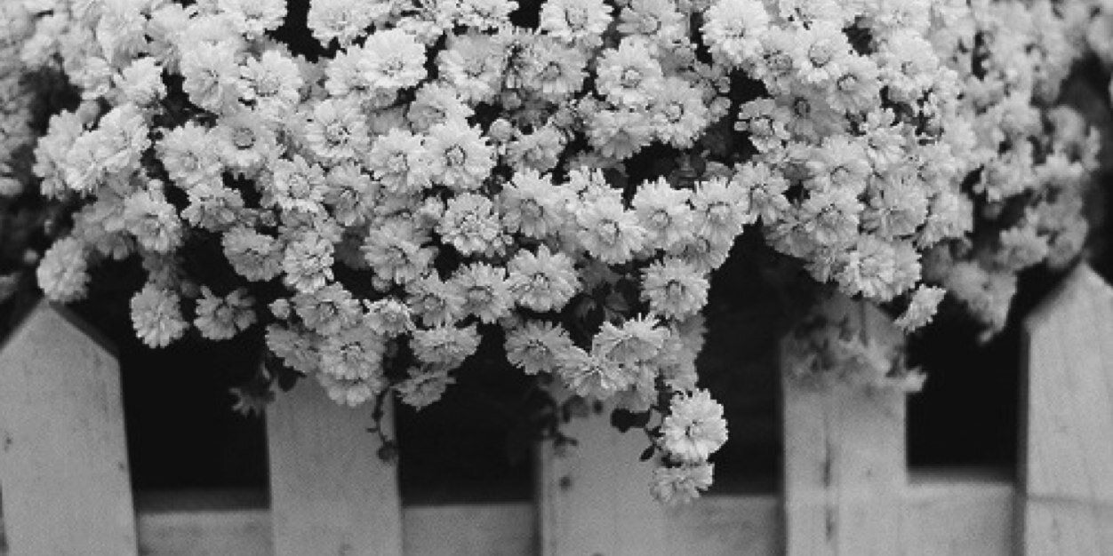 nabilanauli's profile banner image
