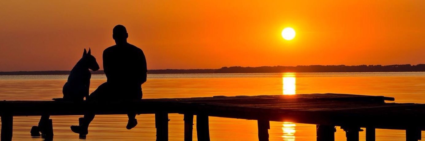 Vande_Lima's profile banner image