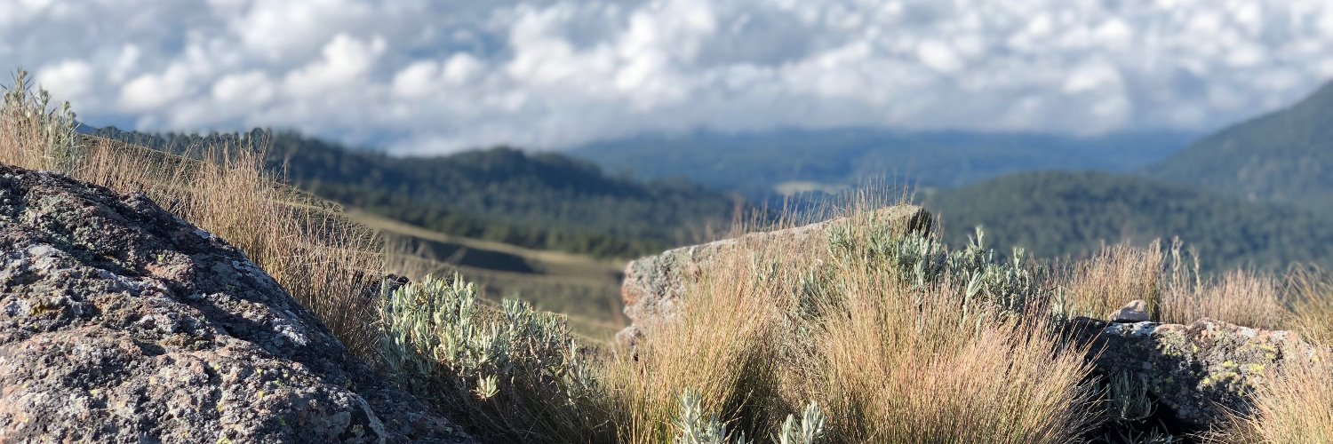 _AntDC's profile banner image