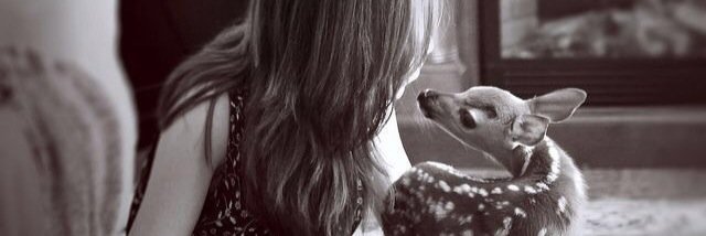 indeer0420's profile banner image