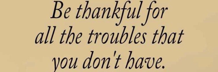 Joanne balcomb banner